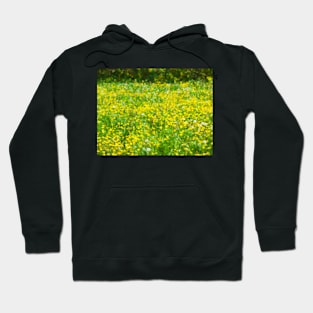 Buttercup Bokeh Hoodie